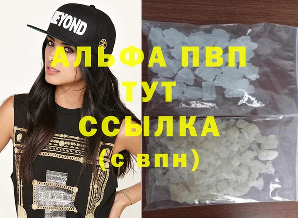 стафф Алзамай