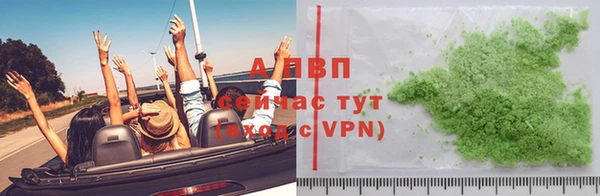 стафф Алзамай