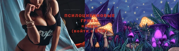спайс Алексин
