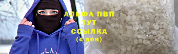 стафф Алзамай