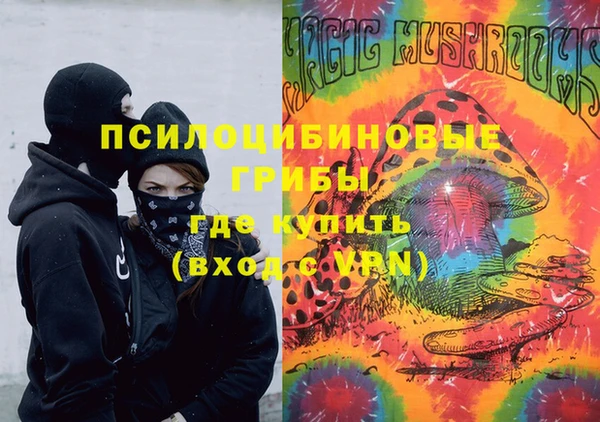 стафф Алзамай