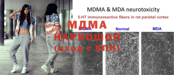 стафф Алзамай